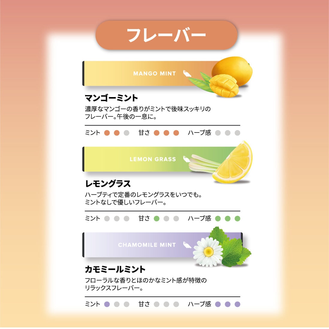 イーグルメロー マンゴーミント 1 pack Eagle Energy Japan 